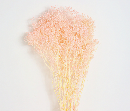 Сухоцвет "Гипсофила", длина 70-80 см., 120 гр/упак., выбеленный светло-розовый.