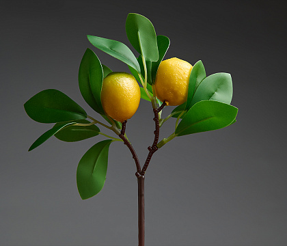Ветка декоративная с плодами Лимона и листьями (плоды D4 см), 30 см, 1 шт., желтый