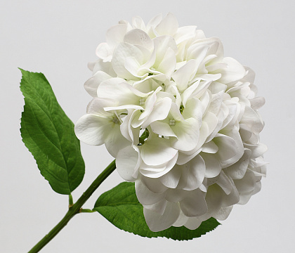 Цветок искусственный декоративный "Гортензия", H60*D24 см., белый