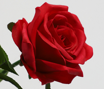 Цветок искусственный декоративный "Роза", H44*D10 см., красный