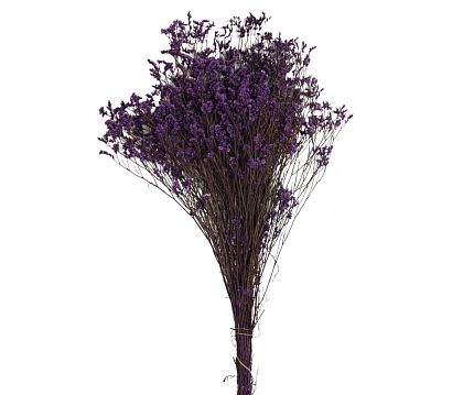 Сухоцвет "Каспия", 120 гр/упак. сиреневый