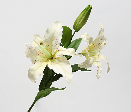 Цветок искусственный декоративный "Лилия", H93*D25 см., слоновая кость