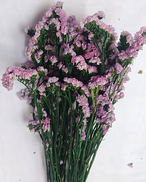 Сухоцвет "Статица", 120 гр/упак., розовый.