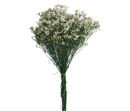 Сухоцвет "Каспия", 120 гр/упак. белый