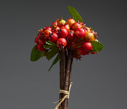 Связка веток  декоративная с ягодами D 1-1,3 см, 20 см, желто-оранжевый