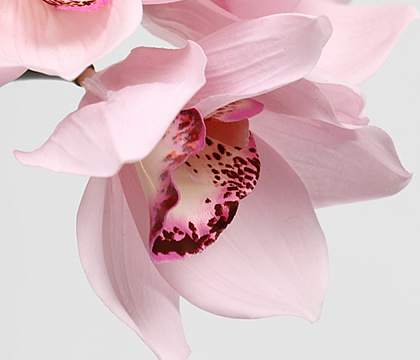 Букет искусственный декоративный "Орхидеи": 4 стебля, 24,5 см., розовый