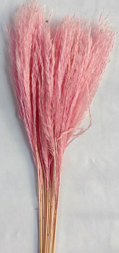 Сухоцвет "Пушистая пампасная трава", длина 60-70 см, 20 шт. светло-розовый.