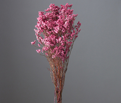 Сухоцвет "Каспия", 120 гр/упак., розовый