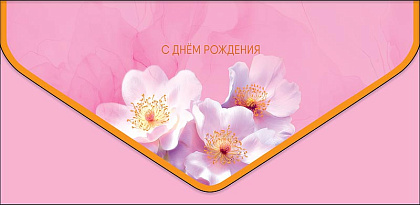 Открытка-конверт "С Днем Рождения!", размер: 9,3х19 см, в упак. 1 шт.