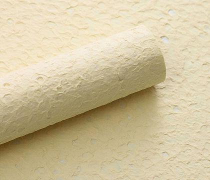 Упаковочная бумага 50 см*56 см, 5листов/упак, 90 г/м², шампань