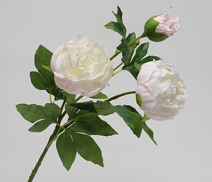 Цветок искусственный декоративный "Пион", 80 см., кремовый