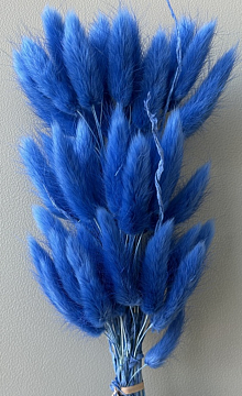 Сухоцвет "Лагурус", 60 шт в пучке, разм. цветка 5-7 см, фиолетовый цвет.