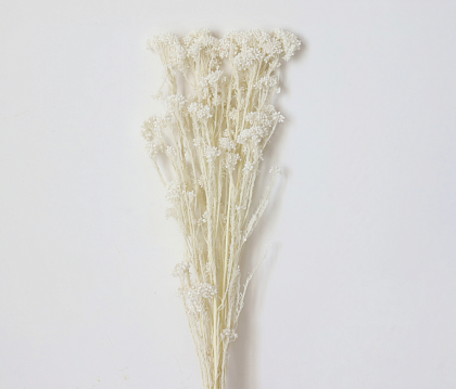 Сухоцвет "Рисовый цветок (Диосми)", длина 60-70 см, 3-5 веток/упак.,100 гр, выбеленный белый