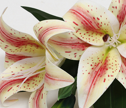 Цветок искусственный декоративный "Лилия", H35*D15 см., шампань