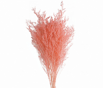 Сухоцвет "Лимониум", длина 60-80 см, 100 гр., розовый