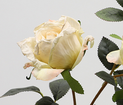 Цветок искусственный декоративный "Роза", 64 см., тканевый, слоновая кость