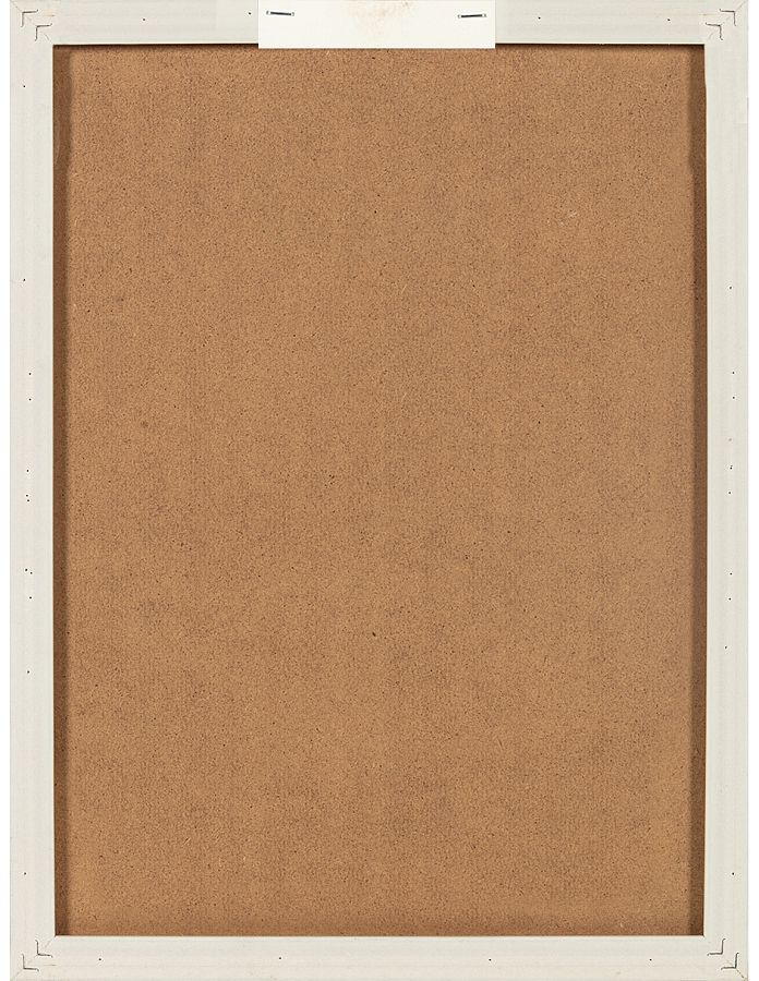 Набор постеров "Гербарий" 2 шт., рама пластиковая, 40,6x30,6x3