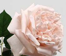 Доп. изображение товара
