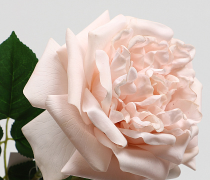 Цветок искусственный декоративный "Роза Остина", H65*D14 см., нежно-персиковый