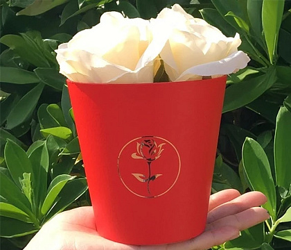 Коробка под цветы 10,7x10,6 см, красный