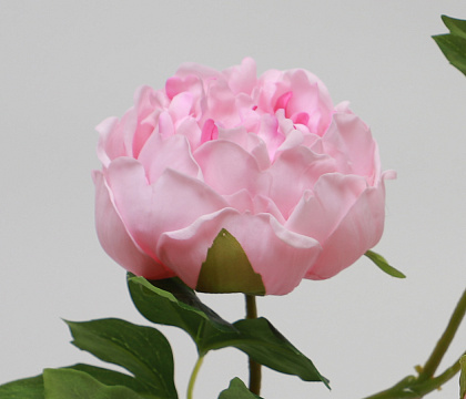 Цветок искусственный декоративный "Пион", 80 см., розовый