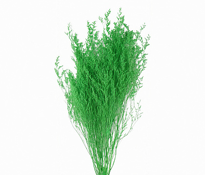 Сухоцвет "Лимониум", длина 60-80 см, 100 гр., зеленый