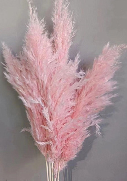 Сухоцвет "Тростник", 30 см, 5 шт/упак., светло-розовый.