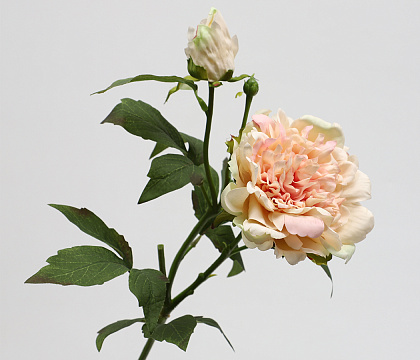 Цветок искусственный декоративный "Пион", 65 см., персиковый