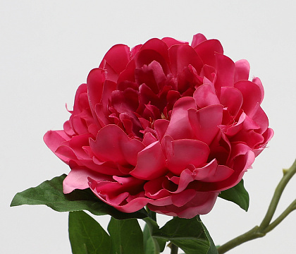 Цветок искусственный декоративный "Пион", 75 см., фуксия