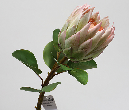 Цветок искусственный декоративный "Протея", H67*D13*14 см., зелено-розовый