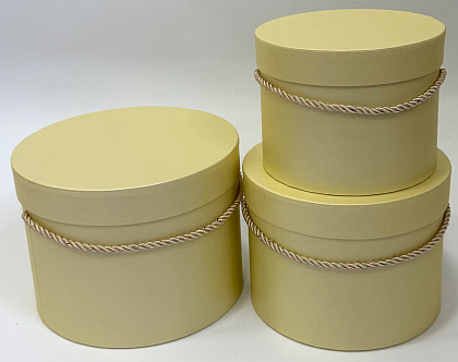 Набор коробок  с ручкой 19,7x14,5 см, 17,2x13 см, 14,6x11,3 см, желтый