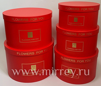  Набор коробок 32x21 см, 29,8x19 см, 27,5x17 см,  25,5x15 см, 23,5x13 см, 5 шт., красный