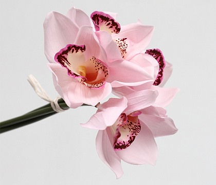 Букет искусственный декоративный "Орхидеи": 4 стебля, 24,5 см., розовый