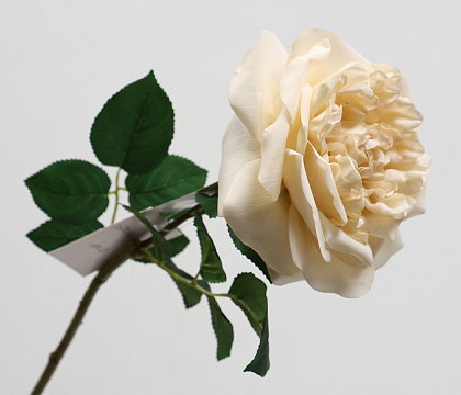 Цветок искусственный декоративный "Роза Остина", H65*D14 см., светло-бежевый