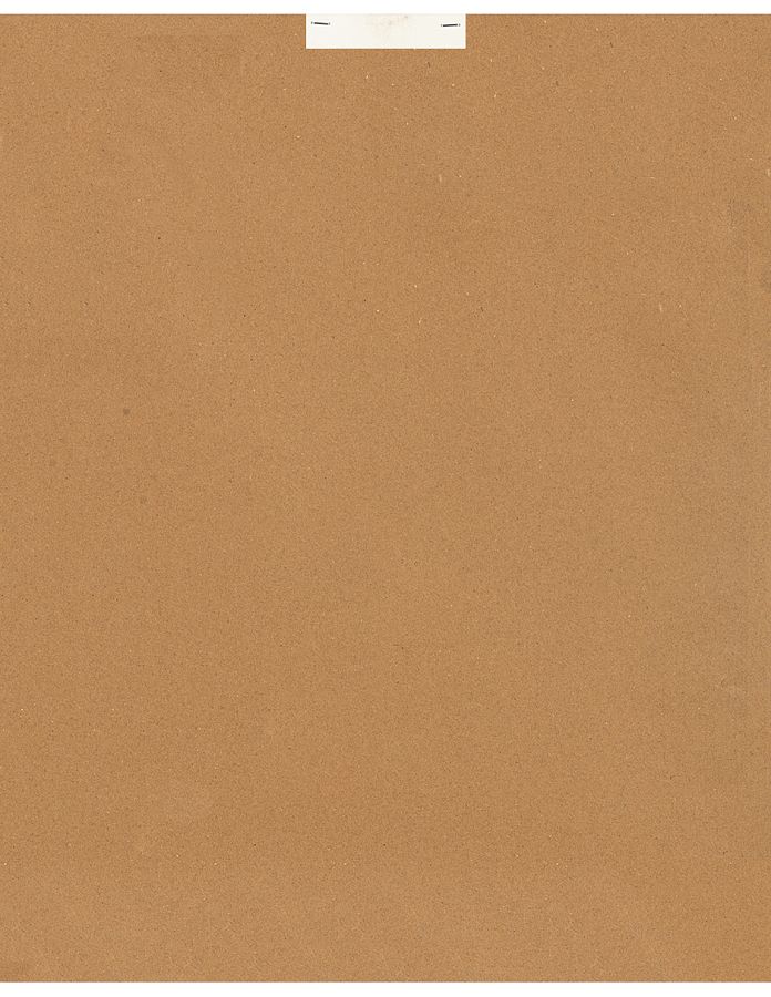 Постер "Чайки"  с глянцевым покрытием, рама пластиковая со стеклом, 50x40x2,5