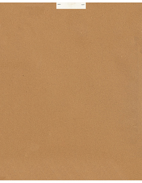 Постер "Чайки"  с глянцевым покрытием, рама пластиковая со стеклом, 50x40x2,5