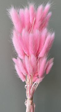 Сухоцвет "Лагурус", 60 шт в пучке, разм. цветка 5-7 см, нежно-розовый.