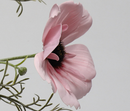 Цветок искусственный декоративный "Мак", 70 см., розовый