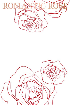  Упаковочная бумага "Romantic Rose", 30см*45 см, 10 листов/упак., с фольгированной надписью,белый