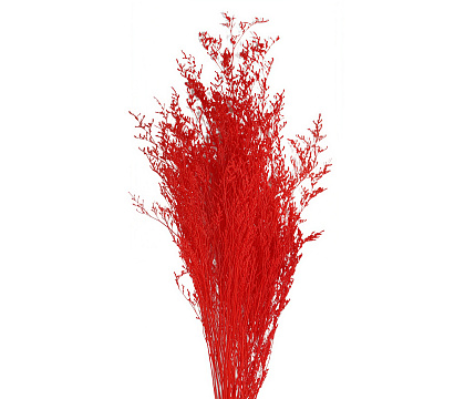 Сухоцвет "Лимониум", длина 60-80 см, 100 гр., красный