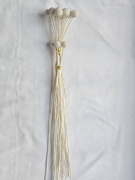 Сухоцвет "Краспедия", длина 60-70 см., размер шарика 2,0-2,5 см, 20 шт/упак., белый.