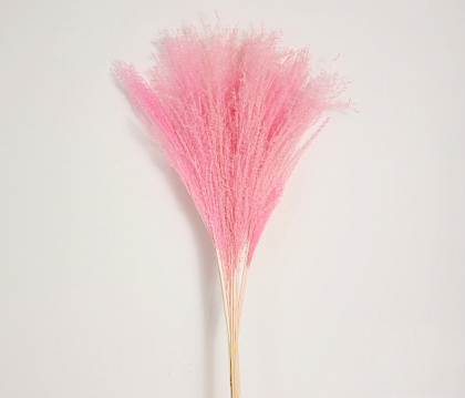Сухоцвет "Пампасная трава", длина 65 см, длина соцветия 15-45 см, 10 шт., нежно-розовый
