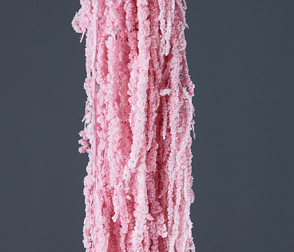 Сухоцвет "Амарантус", длина 70-100 см, св.розовый