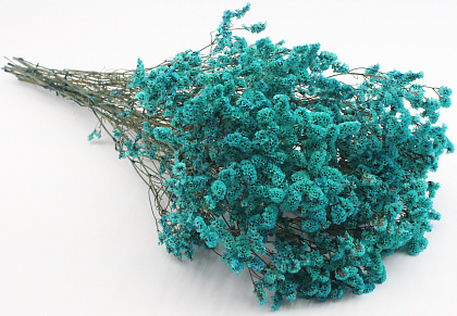 Сухоцвет "Каспия", 120 гр/упак., тиффани