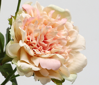 Цветок искусственный декоративный "Пион", 65 см., персиковый