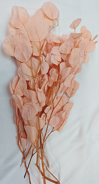 Сухоцвет "Эвкалипт Цинерия", длина 60-70 см, 100 гр/упак., светло-розовый.