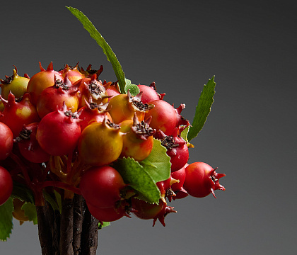 Связка веток  декоративная с ягодами D 1-1,3 см, 20 см, желто-оранжевый