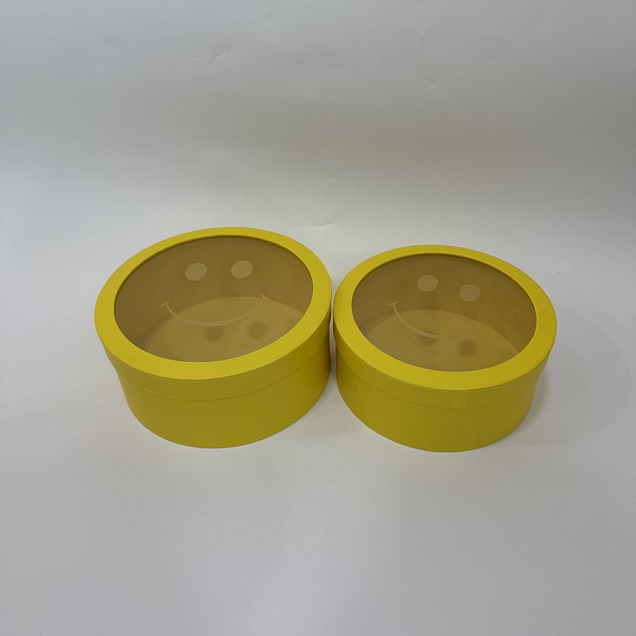 Набор коробок под цветы "Улыбка цветов" 25x11 см, 23x10 см, 2 шт., желтый
