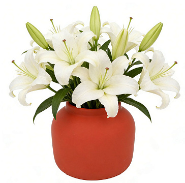 Ваза декоративная керамическая, цвет терракот, 14,5*13 см