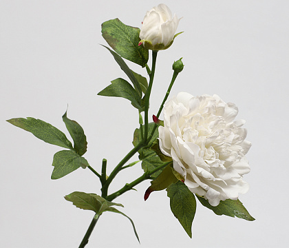 Цветок искусственный декоративный "Пион", 65 см., белый